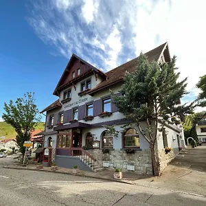 فندق Traube